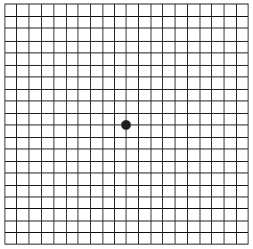 Amsler Grid Test- Retina Ophthalmology Gettysburg PA - Greater